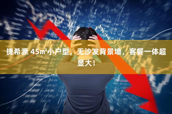 捷希源 45㎡小户型，无沙发背景墙，客餐一体超显大！