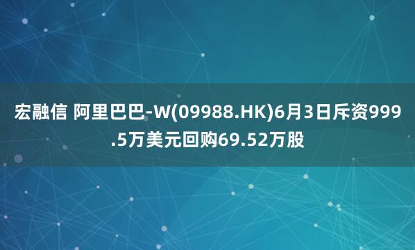 宏融信 阿里巴巴-W(09988.HK)6月3日斥资999.5万美元回购69.52万股