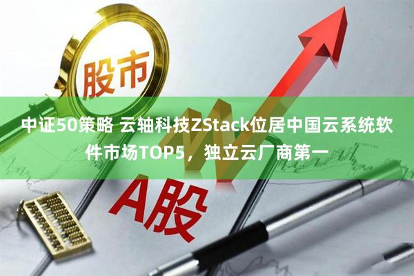 中证50策略 云轴科技ZStack位居中国云系统软件市场TOP5，独立云厂商第一