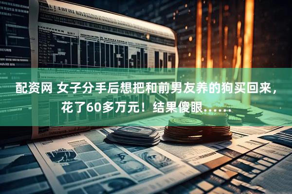 配资网 女子分手后想把和前男友养的狗买回来，花了60多万元！结果傻眼……