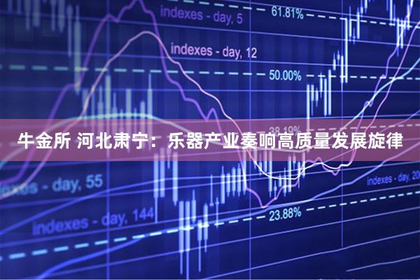 牛金所 河北肃宁：乐器产业奏响高质量发展旋律