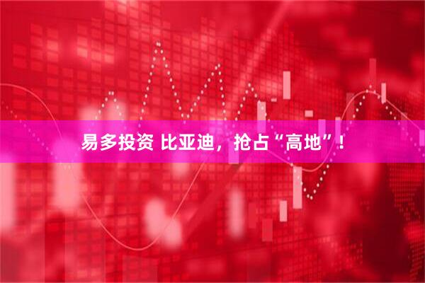 易多投资 比亚迪，抢占“高地”！