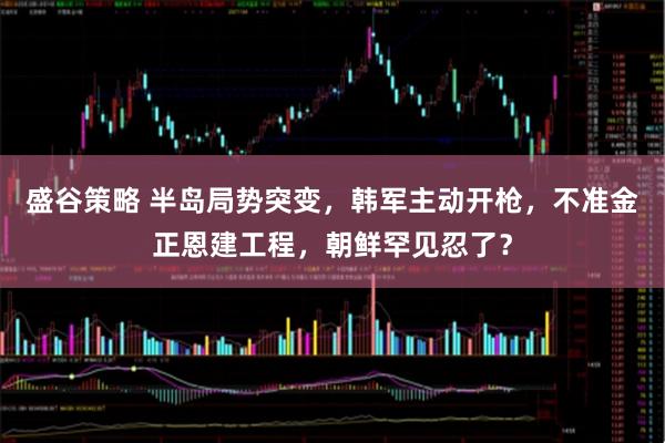 盛谷策略 半岛局势突变，韩军主动开枪，不准金正恩建工程，朝鲜罕见忍了？