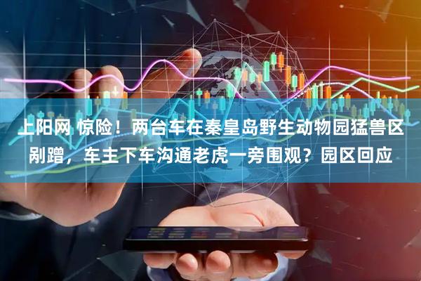 上阳网 惊险！两台车在秦皇岛野生动物园猛兽区剐蹭，车主下车沟通老虎一旁围观？园区回应