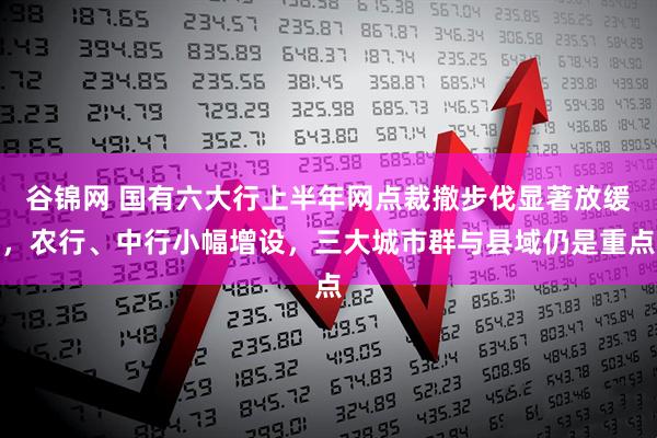 谷锦网 国有六大行上半年网点裁撤步伐显著放缓，农行、中行小幅增设，三大城市群与县域仍是重点