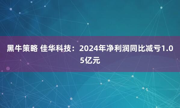 黑牛策略 佳华科技：2024年净利润同比减亏1.05亿元