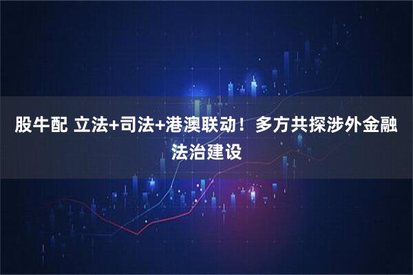 股牛配 立法+司法+港澳联动！多方共探涉外金融法治建设